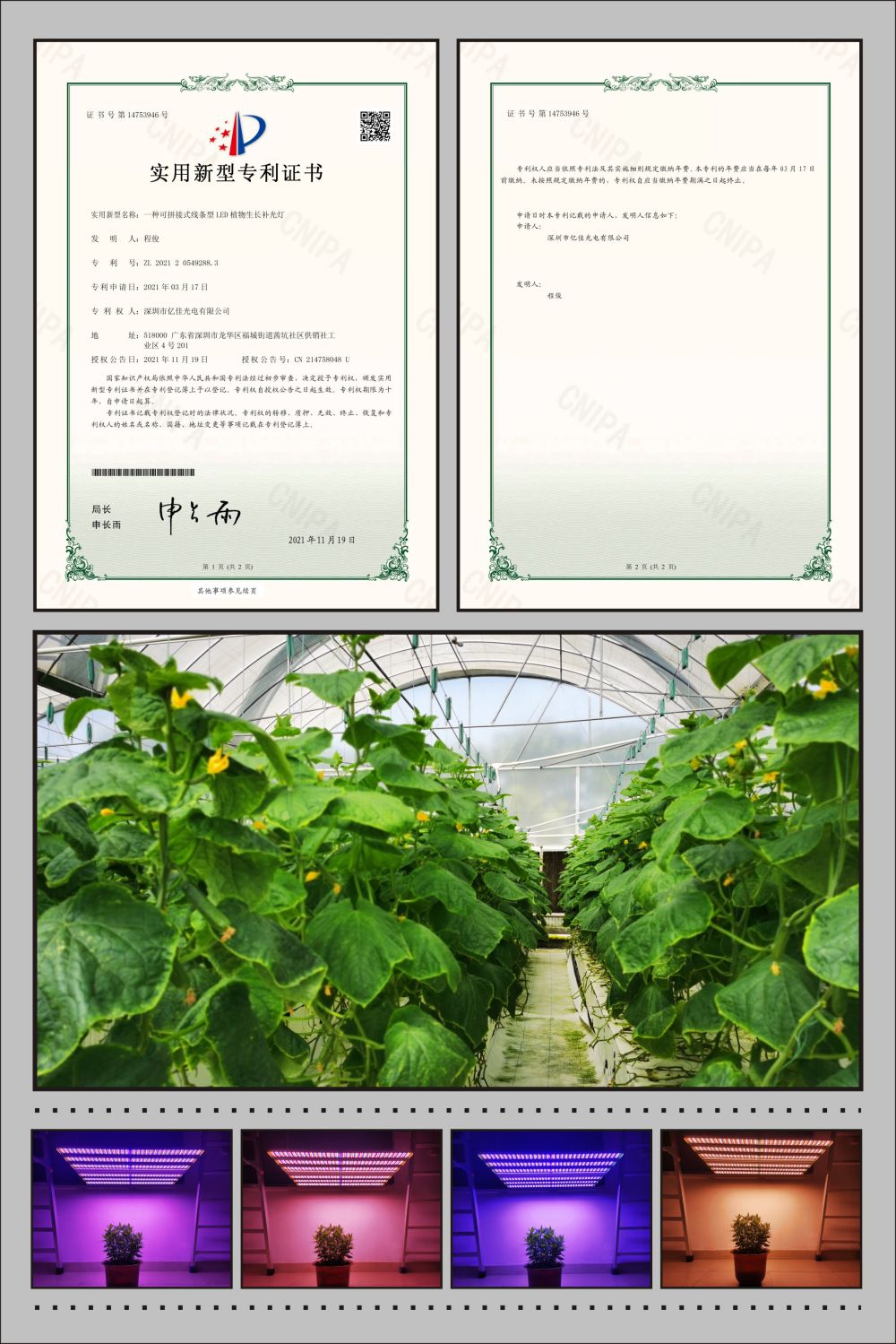 银娱优越会717植物农场灯实用新型专利