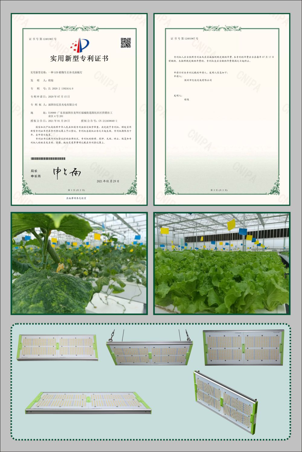 银娱优越会717植物成长面板灯实用新型专利